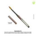 Pincel para polvo acrilico #10 (pack x 12)-BH003068