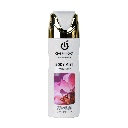 BODY MIST-Paris Fashion- 250ml (Pack x12)  CFF001-012