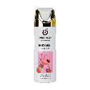 BODY MIST-Fierce Berry- 250ml (Pack x12)  CFF001-018